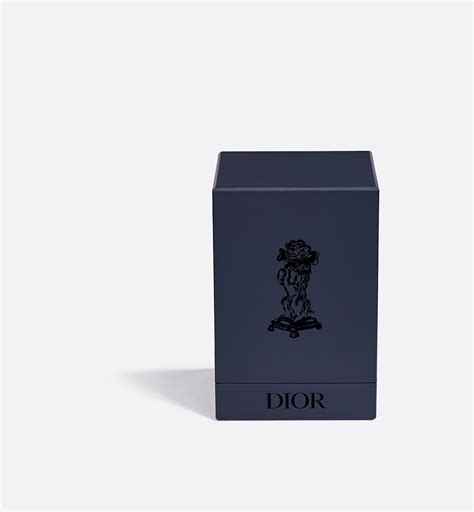 snow globe dior|Snow Globe Blue Bobby .